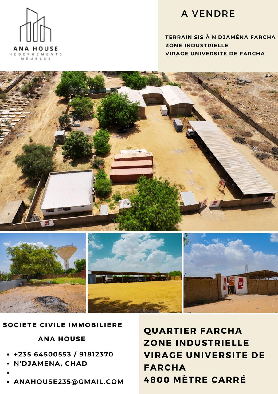 Appartement à Gassi